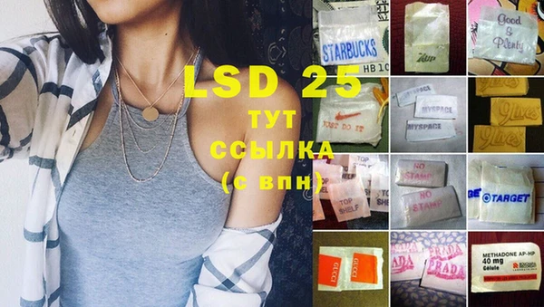 PSILOCYBIN Баксан